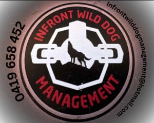 Infront Wild dog Management