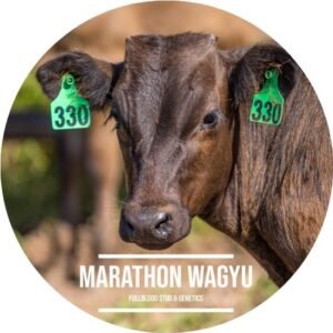 Marathon Wagyu Profile Image